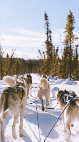 Alpes Hôtel du Pralong